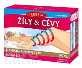 TEREZIA ŽILY & CIEVY