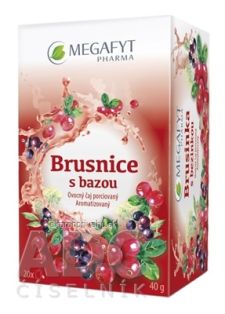 MEGAFYT Brusnice s bazou