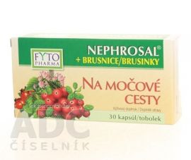 FYTO NEPHROSAL + BRUSNICE na močové cesty