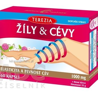 TEREZIA ŽILY & CIEVY