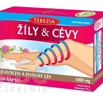 TEREZIA ŽILY & CIEVY