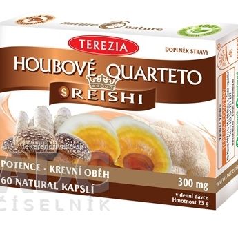 TEREZIA HUBOVÉ QUARTETO s REISHI 60