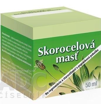 HERBACOS SKOROCELOVÁ MASŤ