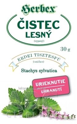 HERBEX ČISTEC LESNÝ