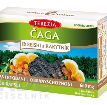 TEREZIA ČAGA + REISHI a RAKYTNÍK